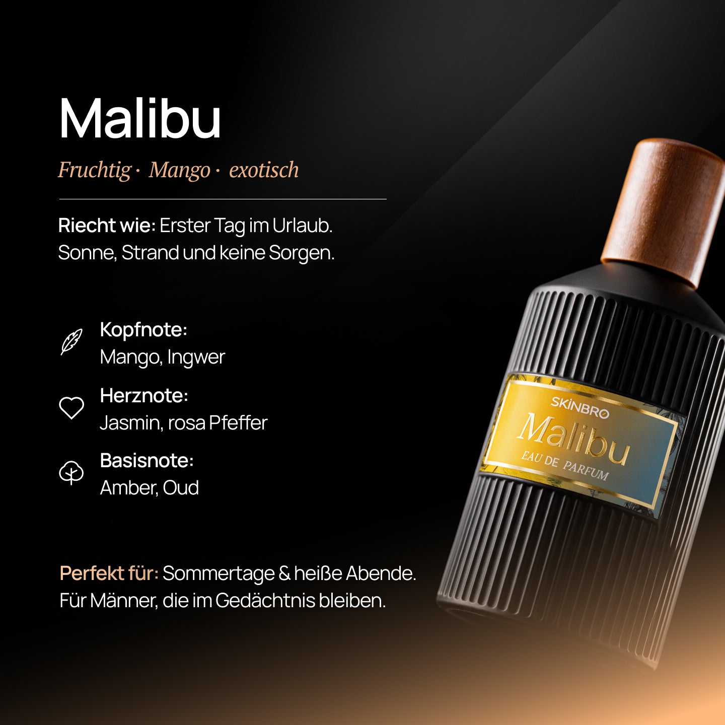 Exklusives - Malibu Premium Set